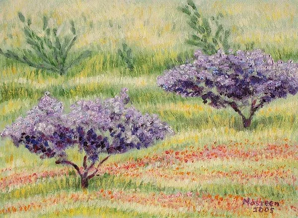 Lilac Fields Tuscany 3