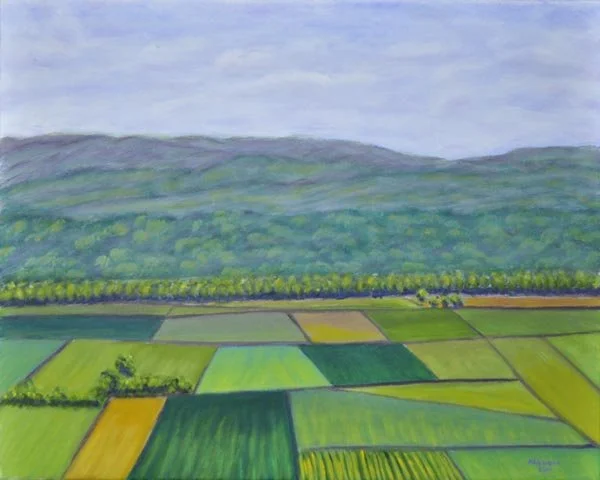 View From Chateau St. Phillipe, France 2