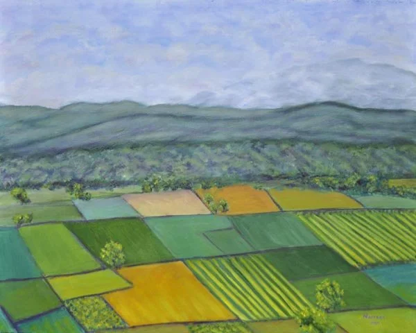 View From Chateau St. Phillipe, France 3